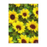 Sunflower 2012 Calendar Postcard