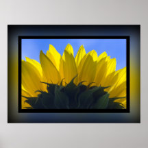 Sunflower 5 print