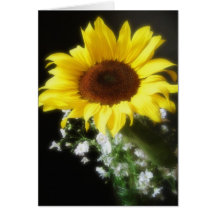 Sunflower 6 cards