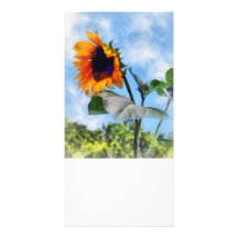 Sunflower Against the Sky Personalized Photo Card