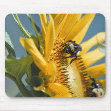 Sunflower and Bee Mousepad