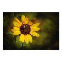 Sunflower and bee photo art