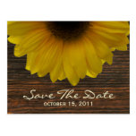 Sunflower & Barnwood Fall Save The Date Postcard