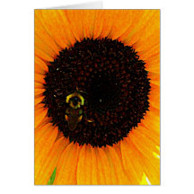 Sunflower & Bee Card