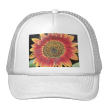 Sunflower Blossom Baseball Hat