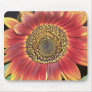 Sunflower Blossom Mouse Pad
