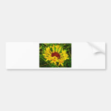 Sunflower Bumper Sticker