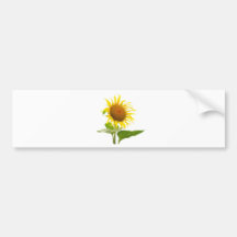 Sunflower Bumper Sticker