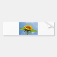 sunflower bumper stickers