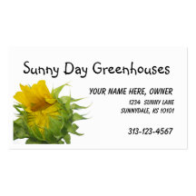sunflower business cards