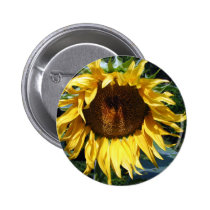 Sunflower buttons