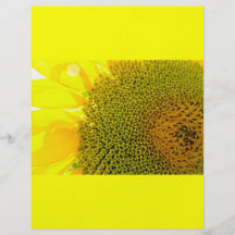Sunflower Closeup Photography bright yellow digita Flyer
