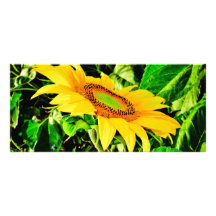 Sunflower Customized Rack Card