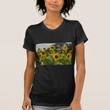 Sunflower Field Tee Shirt