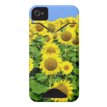 Sunflower Fields Iphone 4 Id Cover