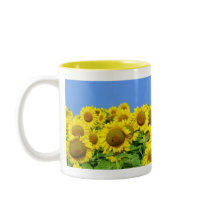 Sunflower Fields Mug