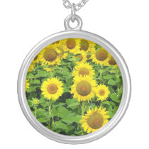 Sunflower Fields