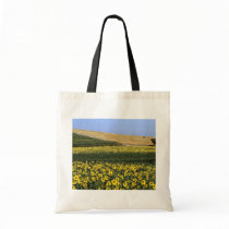 Sunflower fields, Tuscany, Italy Canvas Bags