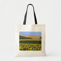 Sunflower fields, Tuscany, Italy Canvas Bags