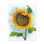 Sunflower Floral Painting - Multi Post Card