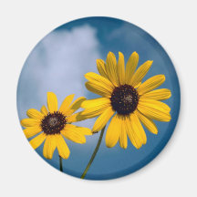Sunflower Fridge Magnets