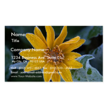 Sunflower Frost Business Card Template