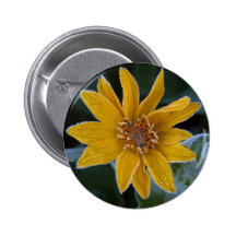 Sunflower Frost Pin