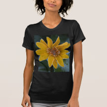 Sunflower Frost T Shirt