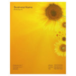 Sunflower Glow letterhead