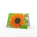 Sunflower Greeting Card