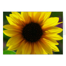 Sunflower Greeting Card