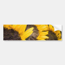 Sunflower heaven bumper sticker