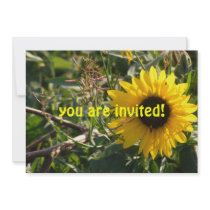 Sunflower Invitation