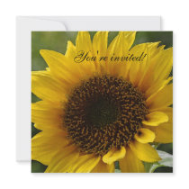 Sunflower invitation