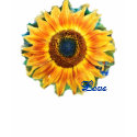 Sunflower Love t-shirts
