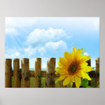 Sunflower Nature Beauty Posters