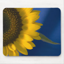 Sunflower on Blue Mousepad