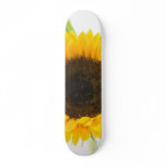 Sunflower On White Background Skateboards