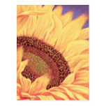 Sunflower Painting Flower Art - Multi Post Card