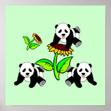 Sunflower Panda Bears Posters