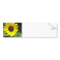 Sunflower Plant Bumper Sticker