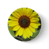 Sunflower Plant Round Button