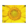 Sunflower Post Cards