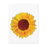 Sunflower Postcards