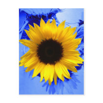 Sunflower Postcard