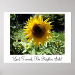Sunflower Poster