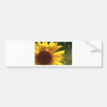 Sunflower Power! Bumper Sticker