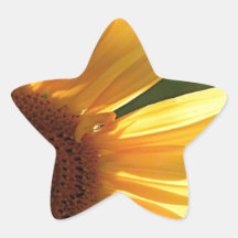 Sunflower Power! Star Stickers