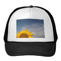 Sunflower rising like the sun mesh hats