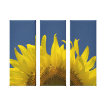 Sunflower Rising Three Panel Wrapped Canvas Print